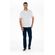 PR00805001_096_3-POLO-REGULAR-FIDELI-M-CURTA-UFFICIO