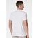 PR00805125_096_4-POLO-REGULAR-FIDELI-GIORNO